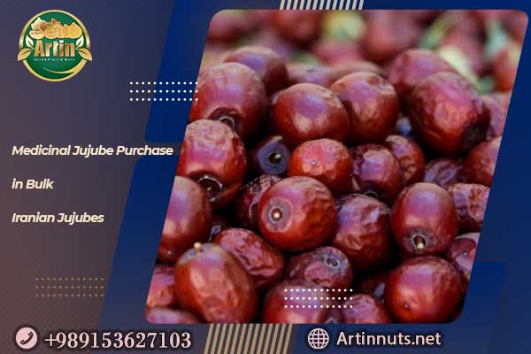 Medicinal Jujube Purchase