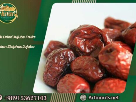 Bulk Dried Jujube Fruits