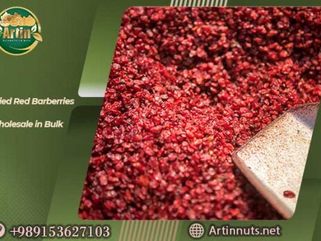 Dried Red Barberries Wholesale