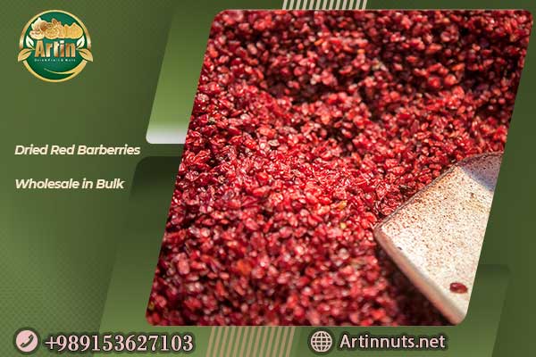 Dried Red Barberries Wholesale