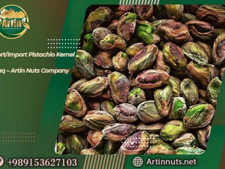 Pistachio Kernel to Iraq