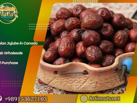 Iranian Jujube in Canada