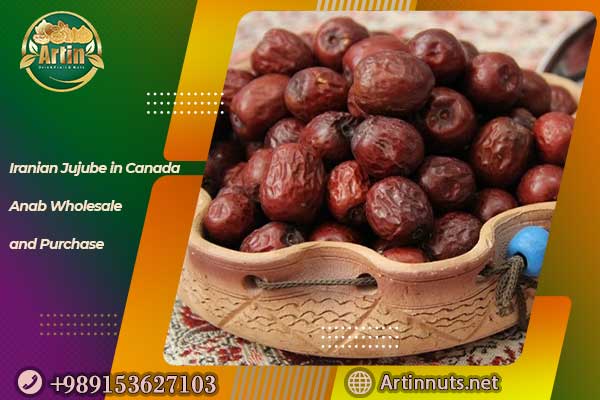 Iranian Jujube in Canada