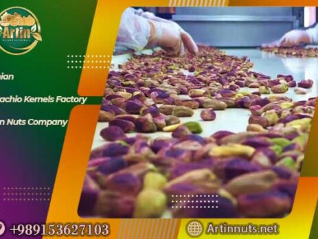 Iranian Pistachio Kernels Factory