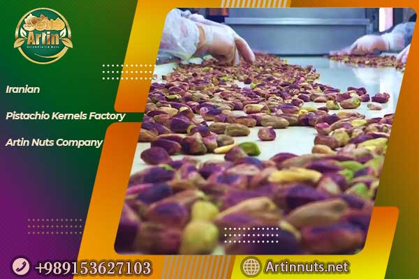 Iranian Pistachio Kernels Factory