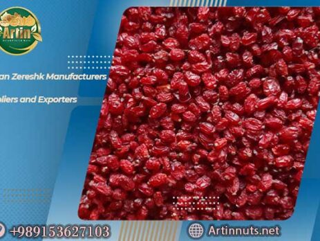 Iranian Zereshk Manufacturers