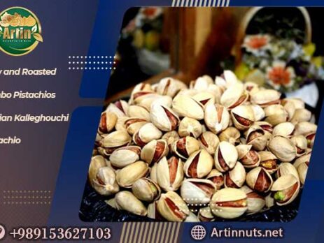 Raw and Roasted Jumbo Pistachios