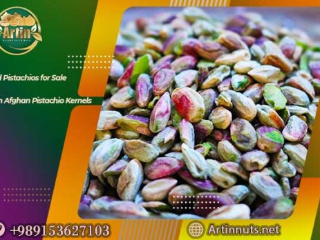 Wild Pistachios for Sale
