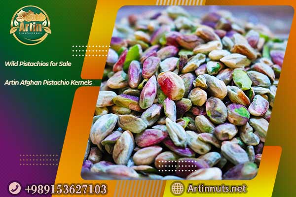 Wild Pistachios for Sale