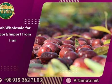 Anab Wholesale