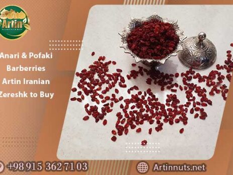Anari & Pofaki Barberries