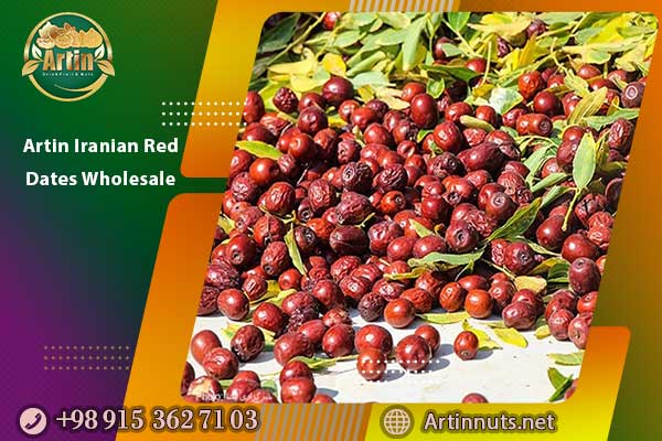 Artin Iranian Red Dates Wholesale
