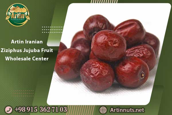 Artin Iranian Ziziphus Jujuba Fruit Wholesale Center