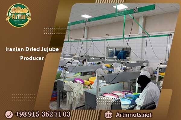Iranian Dried Jujube Producer