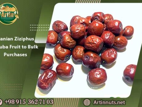 Iranian Ziziphus Jujuba Fruit