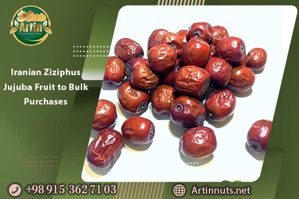 Iranian Ziziphus Jujuba Fruit