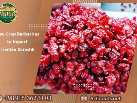 New Crop Barberries