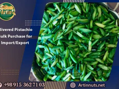 Slivered Pistachio Bulk Purchase