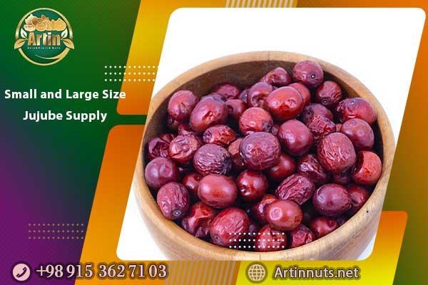 Small and Large Size Jujube Supply