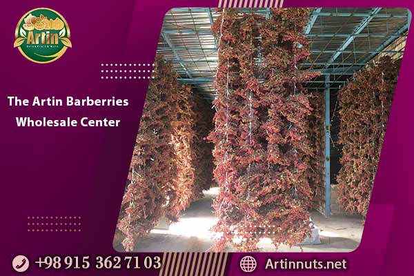 The Artin Barberries Wholesale Center