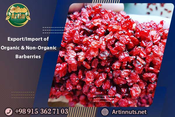 Export/Import of Organic and Non-Organic Barberries