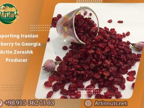 Importing Iranian Barberry to Georgia | Artin Zereshk Producer