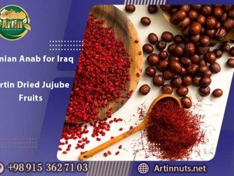 Iranian Anab for Iraq | Artin Dried Jujube Fruits