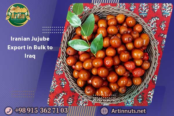 Iranian Jujube Export in Bulk to Iraq