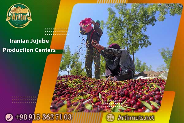 Iranian Jujube Production Centers