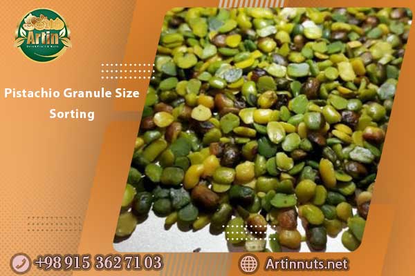 Pistachio Granule Size Sorting