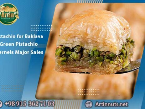 Pistachio for Baklava | Green Pistachio Kernels Major Sales