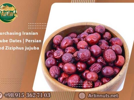 Purchasing Iranian Jujube Dates | Persian Red Ziziphus jujuba