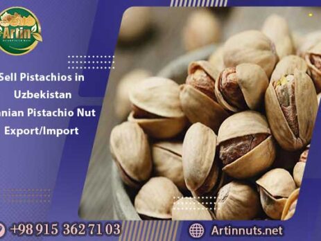 Sell Pistachios in Uzbekistan | Iranian Pistachio Nut Export/Import