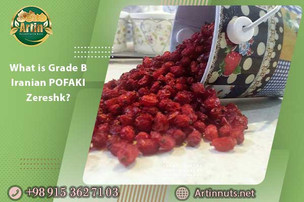 What is Grade B Iranian POFAKI Zereshk?