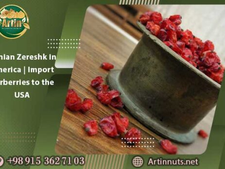 Iranian Zereshk in America | Import Barberries to the USA