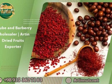 Jujube and Barberry Wholesaler | Artin Dried Fruits Exporter
