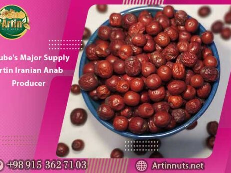 Jujube's Major Supply | Artin Iranian Anab Producer