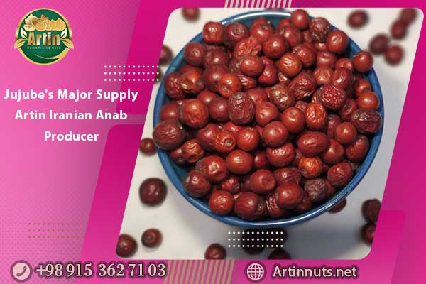 Jujube's Major Supply | Artin Iranian Anab Producer