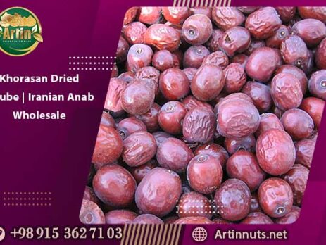 Khorasan Dried Jujube | Iranian Anab Wholesale