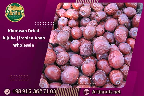 Khorasan Dried Jujube | Iranian Anab Wholesale