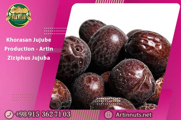Khorasan Jujube Production - Artin Ziziphus Jujuba