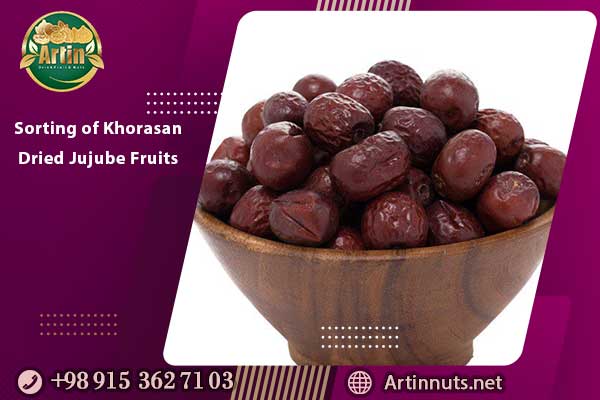 Sorting of Khorasan Dried Jujube Fruits