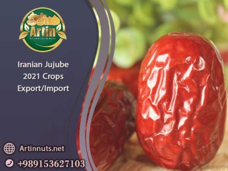 Iranian Jujube 2021 Crops