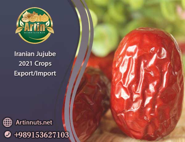 Iranian Jujube 2021 Crops