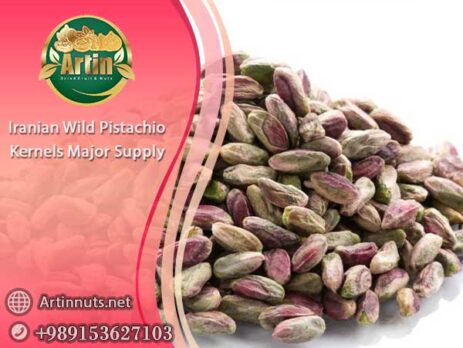 Iranian Wild Pistachio Kernels