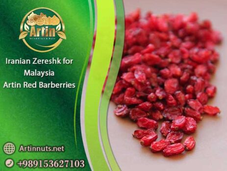 Iranian Zereshk for Malaysia