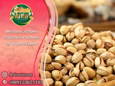 Mechanical Open Pistachios Purchase