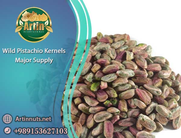 Wild Pistachio Kernels Supply