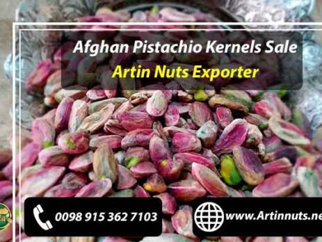 Afghan Pistachio Kernels Sale