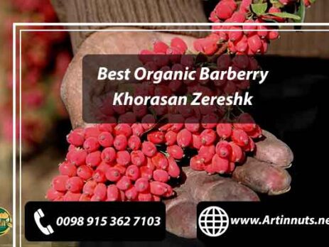 Best Organic Barberry
